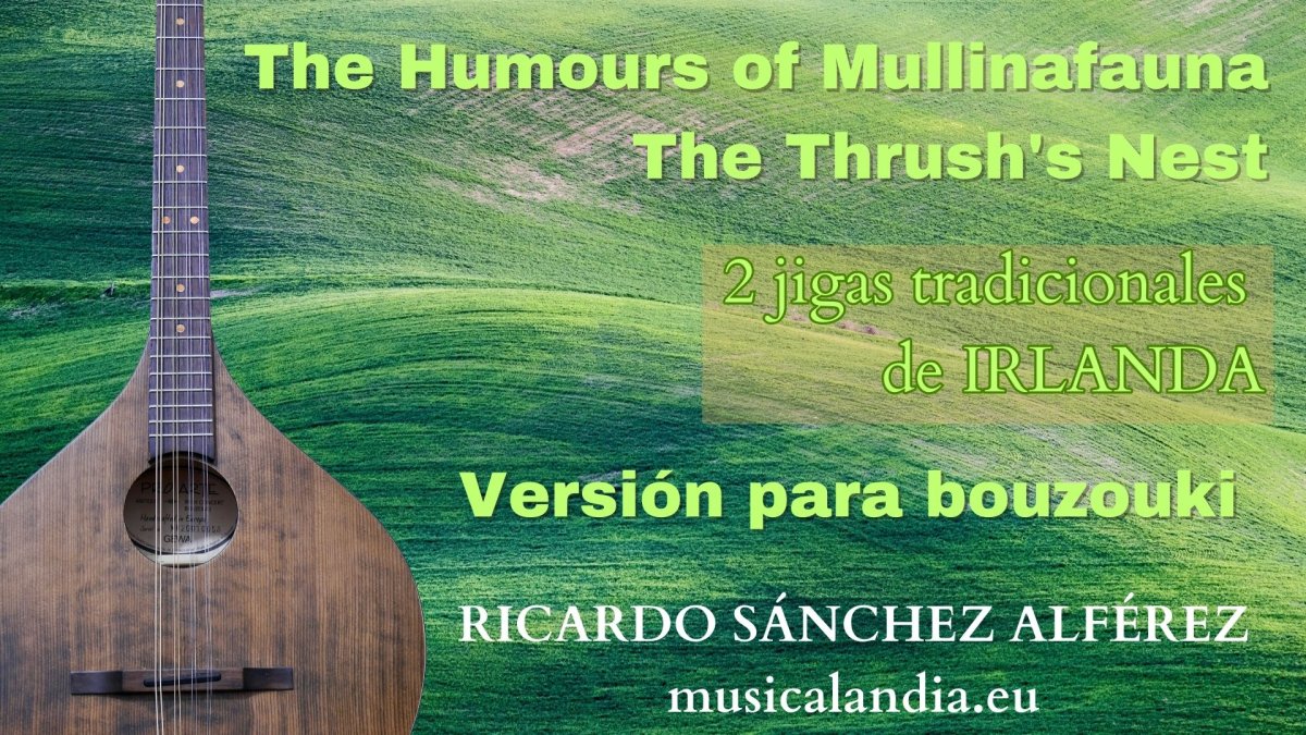 The Humours of Mullinafauna The Thrush's Nest  The Humours of Mullinafauna The Thrush's Nest